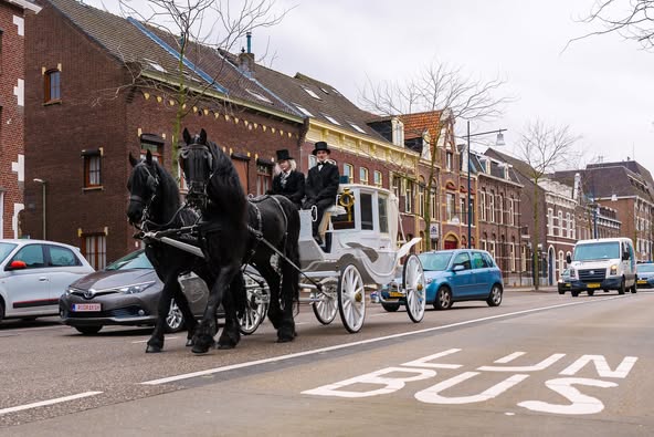 witte Glaslandauer dicht